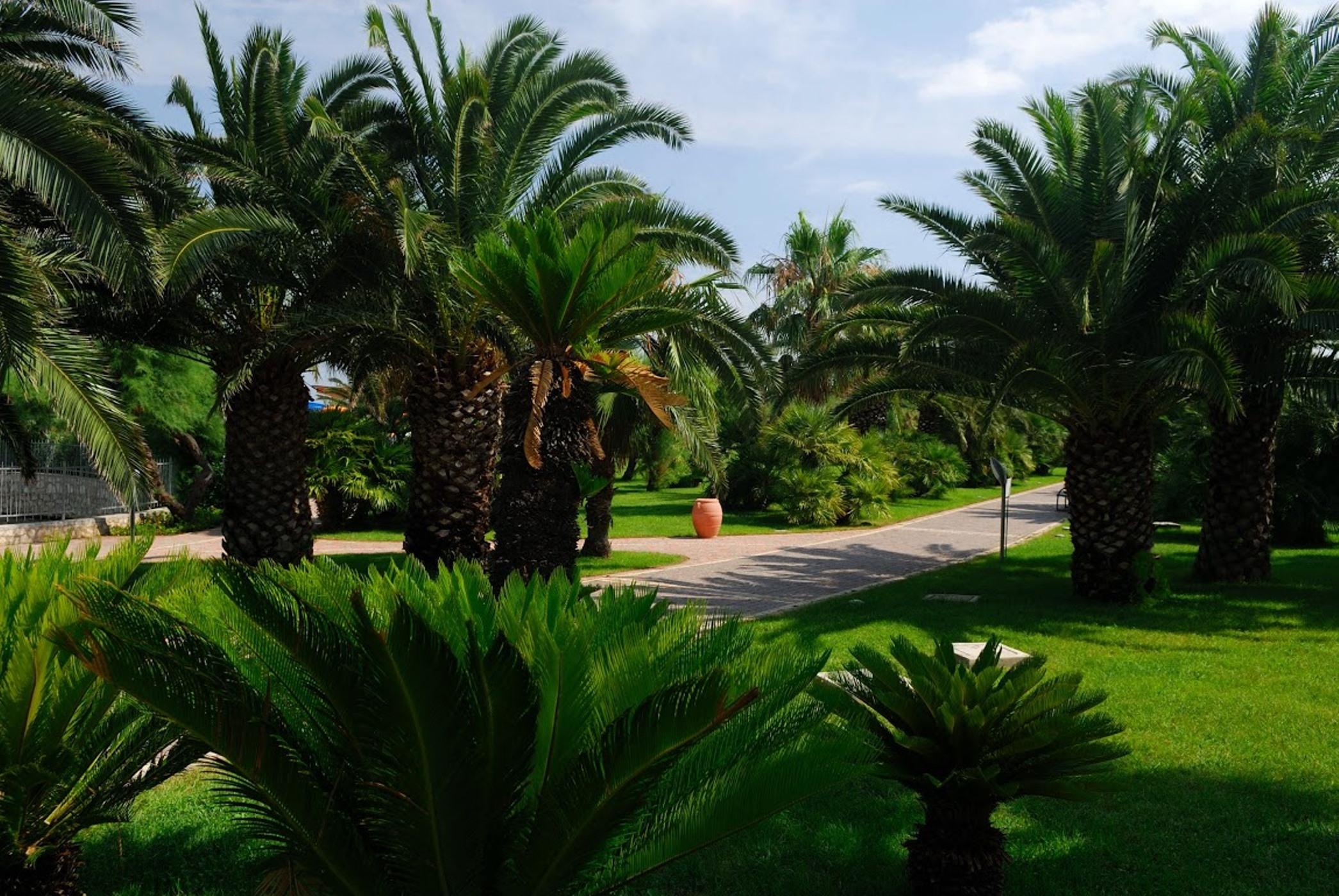 Granserena Hotel Torre Canne Extérieur photo